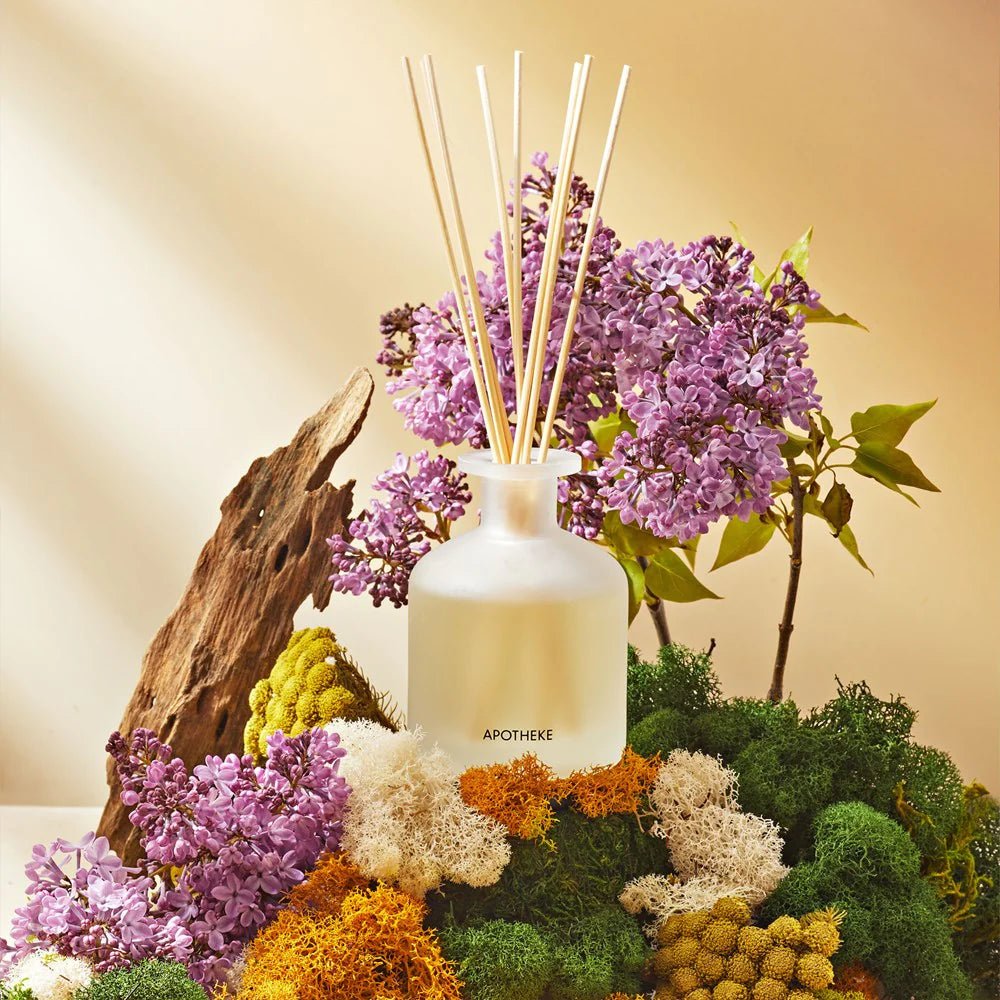 Apotheke White Vetiver Reed Diffuser with Moss and Flowers | Duman Home