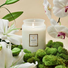 Voluspa Mokara Large Jar Candle with Moss an Flowers | Duman Home