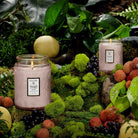 Voluspa Panjore Lychee Large Jar Candle with Fruit and Moss| Duman Home
