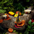 Voluspa Goji Tarocco Orange Reed Diffuser with Candles and Fruits| Duman Home