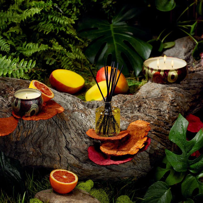 Voluspa Goji Tarocco Orange Reed Diffuser with Candles and Fruits| Duman Home